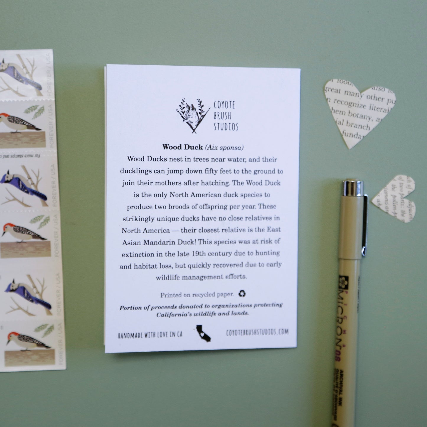 Thought this Card Wood Quack You Up! - Wood Duck Greeting Card