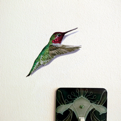 Load image 1 in gallery view. Realistic Anna’s Hummingbird in flight hovering over a light switch.