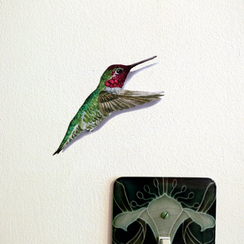 *Seconds Sale* - Anna's Hummingbird Wall Decal