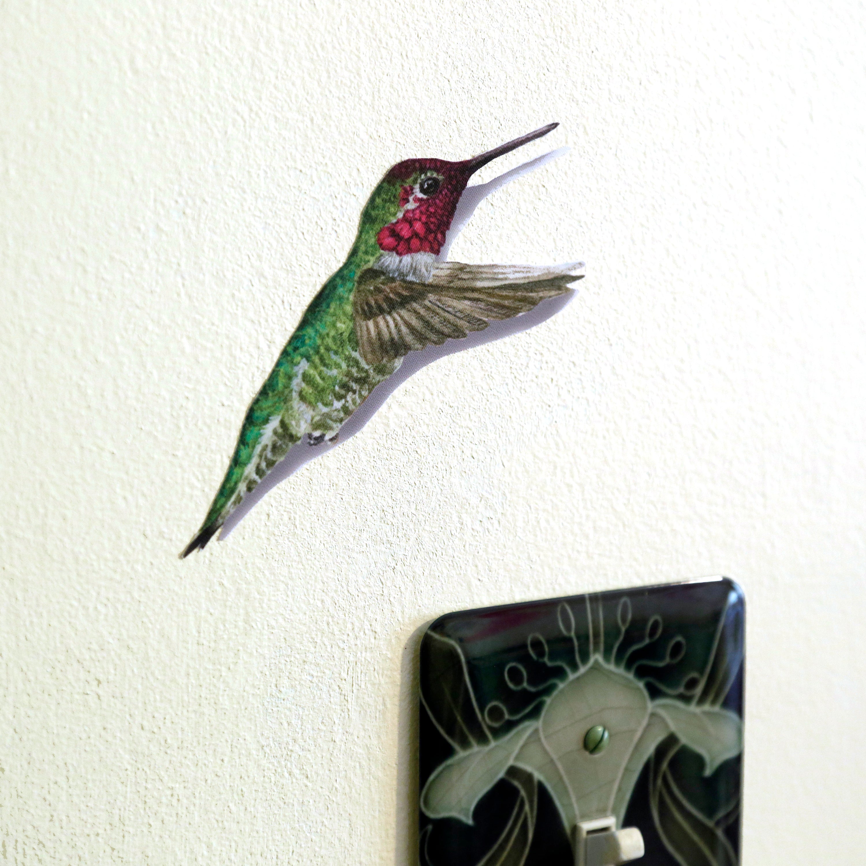 Close up of Anna’s Hummingbird.