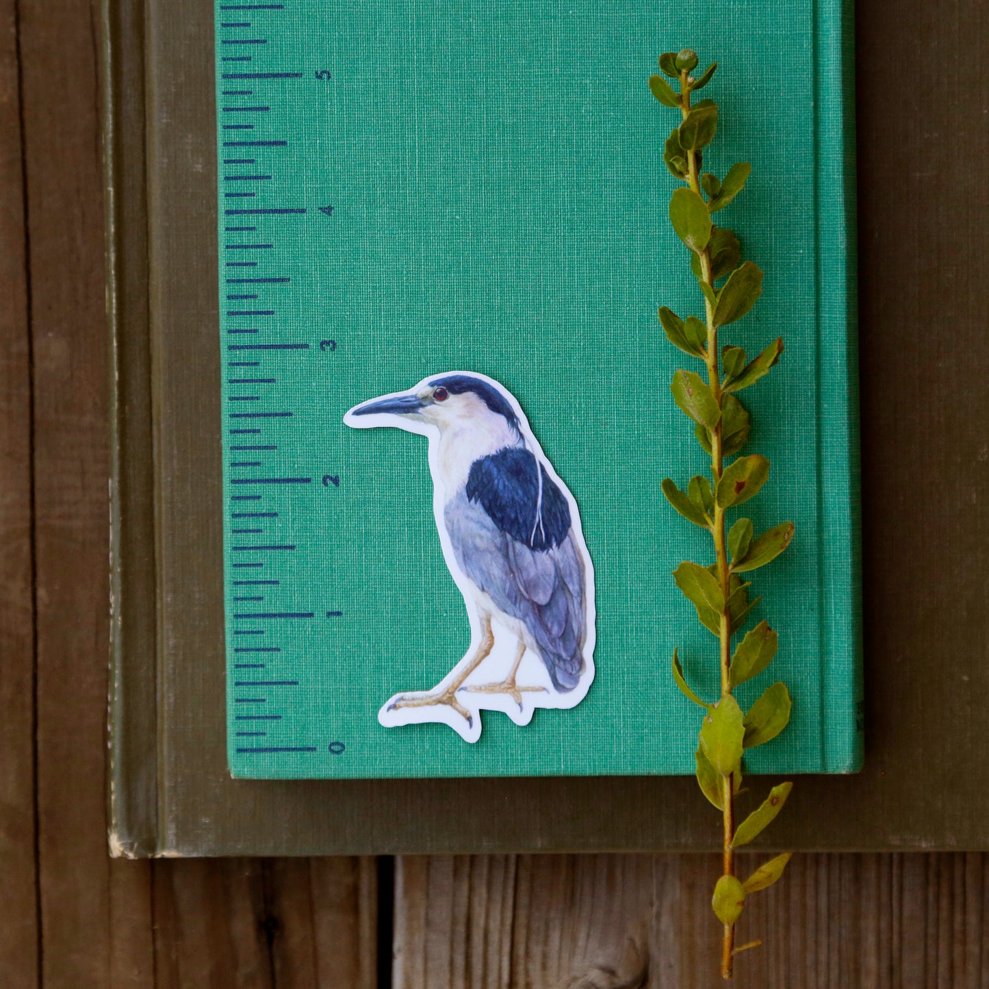 Urban Encounters Vinyl Stickers, Coyote, Black-Crowned Night Heron, Peregrine Falcon