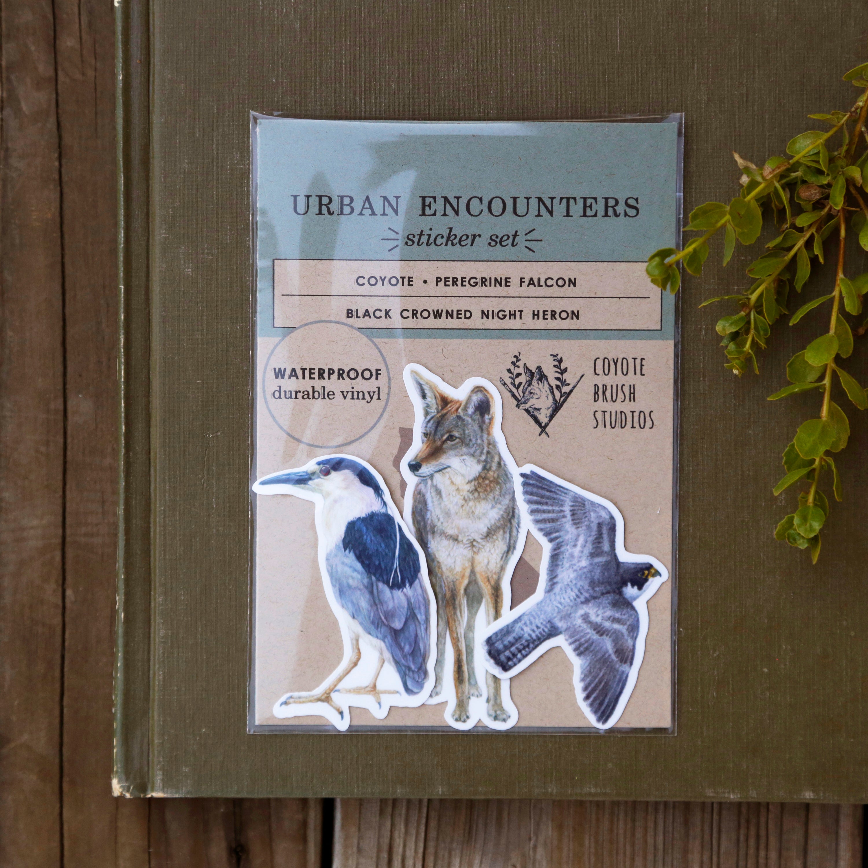 Urban Encounters Vinyl Stickers, Coyote, Black-Crowned Night Heron, Peregrine Falcon