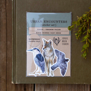 Urban Encounters Sticker Set: Three Vinyl Stickers, Coyote, Black-Crowned Night Heron, Peregrine Falcon