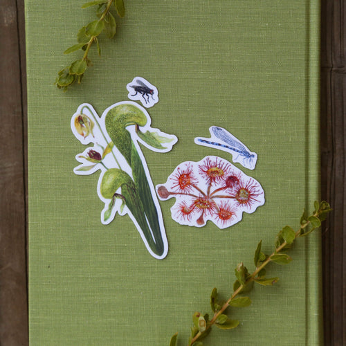 Load image 1 in gallery view. Carnivorous Plants of California Vinyl Stickers: Darlingtonia, sundew, insects