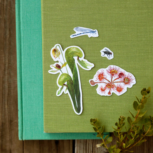 Load image 1 in gallery view. Carnivorous Plants of California Vinyl Stickers: Darlingtonia, sundew, insects