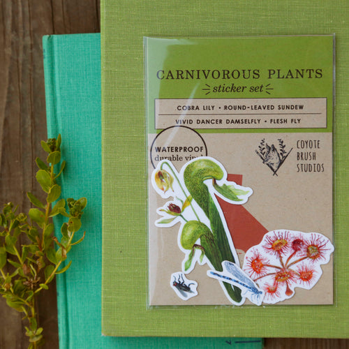 Load image 1 in gallery view. Carnivorous Plants of California Vinyl Stickers: Darlingtonia, sundew, insects
