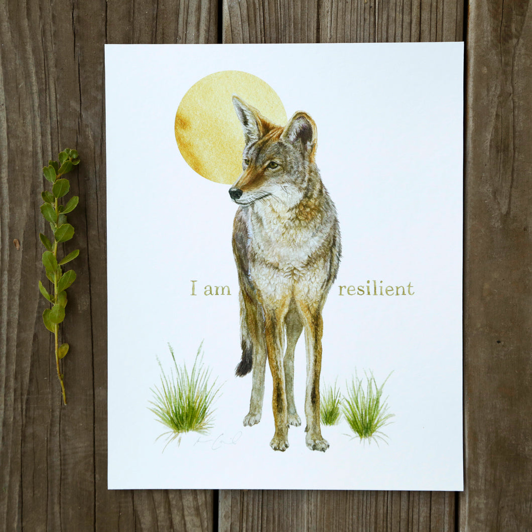 I Am Resilient 8x10 Coyote Print - Native California Wildlife, Mammal print, Canine print