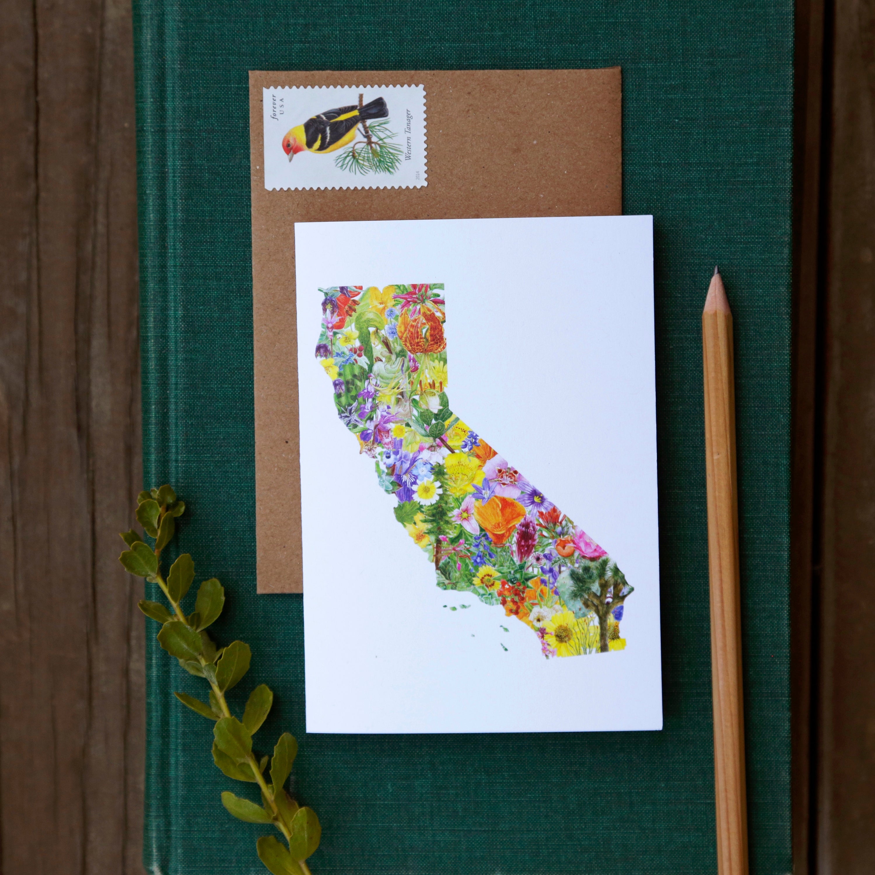 California Flora Card - greeting card, native plant card