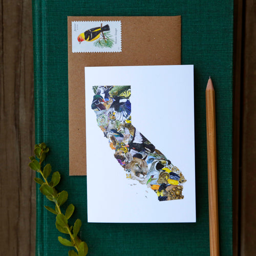 Load image 1 in gallery view. California Silhouette Card Set- 2 each of California Diversity, California Flora, California Wildflowers, and California Wildlife greeting cards