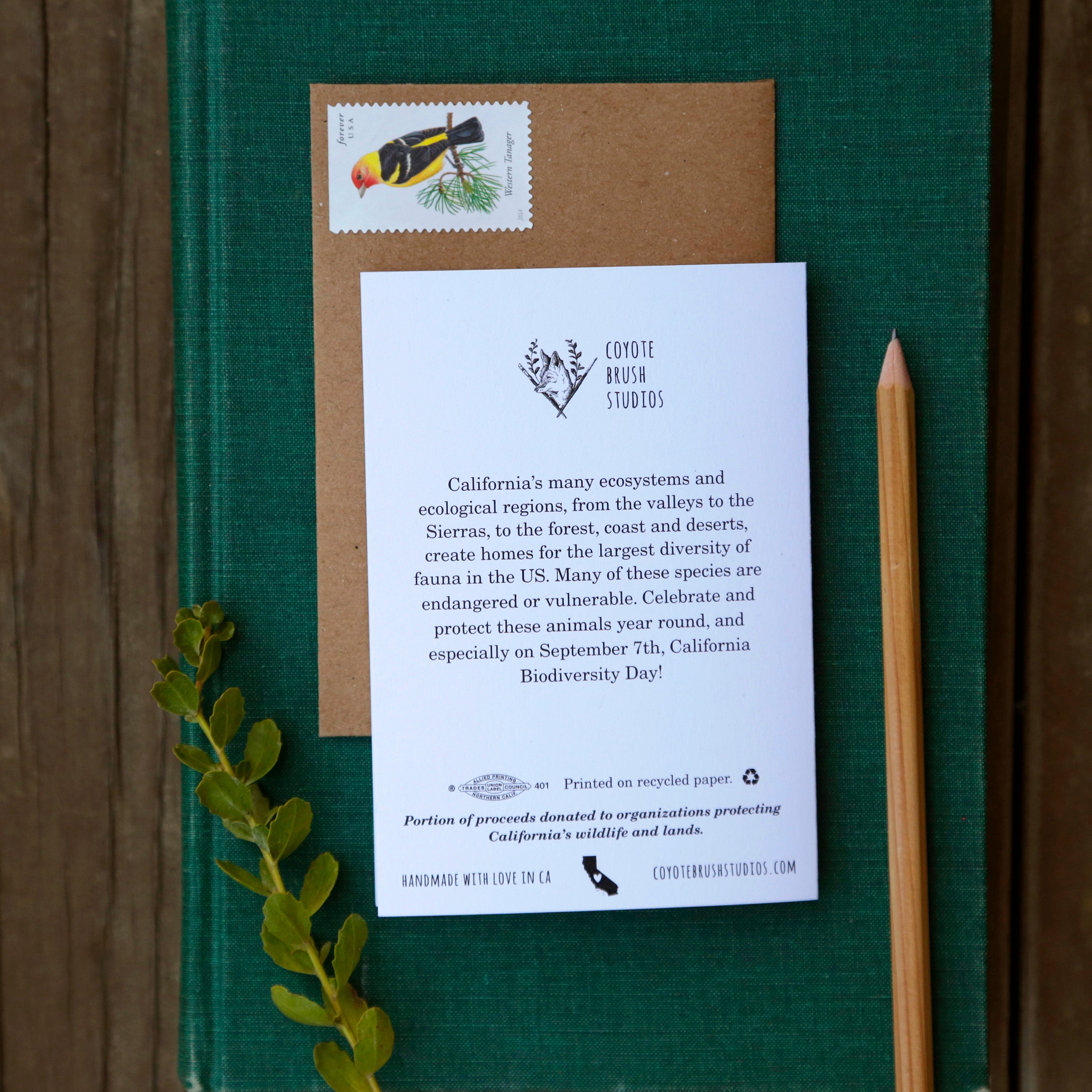 California Wildlife Card - greeting card, animal card