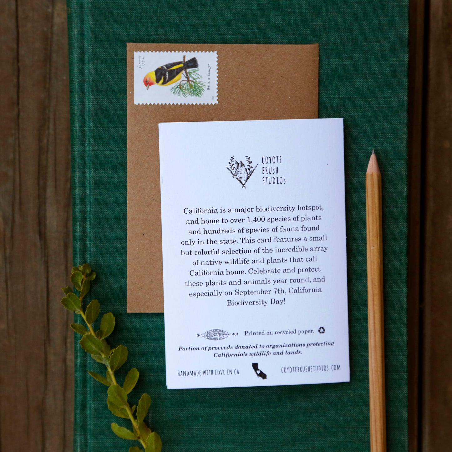 California Diversity Card - greeting card, rainbow card, native plant and animal card