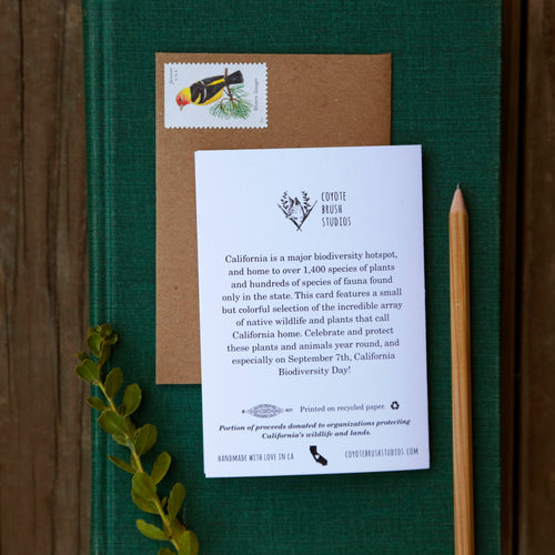 Load image 1 in gallery view. California Diversity Card - greeting card, rainbow card, native plant and animal card