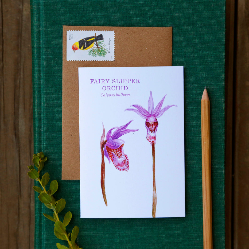 Fairy Slipper Orchid Greeting Card, Wildflower Note Card