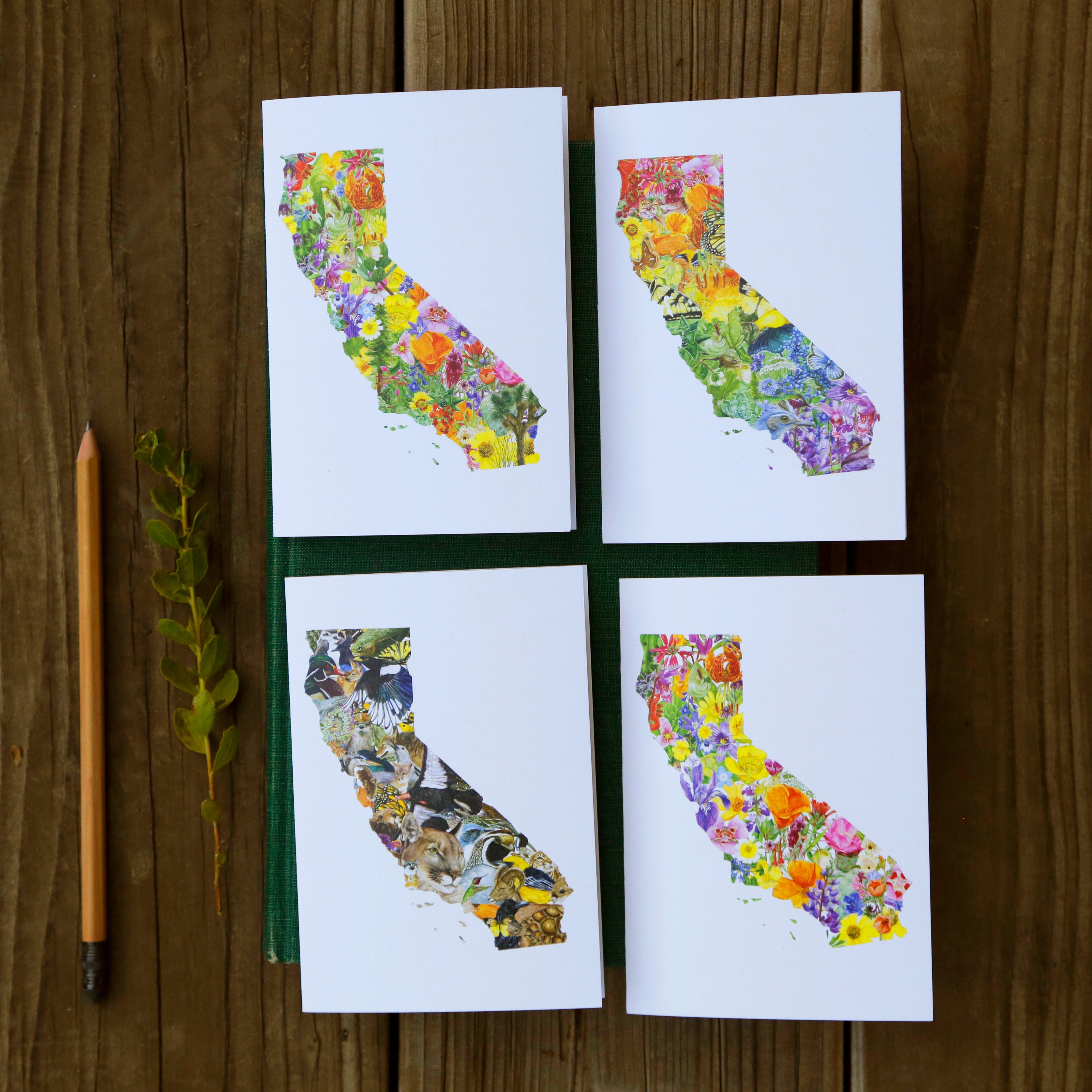California Silhouette Card Set- 2 each of California Diversity, California Flora, California Wildflowers, and California Wildlife greeting cards