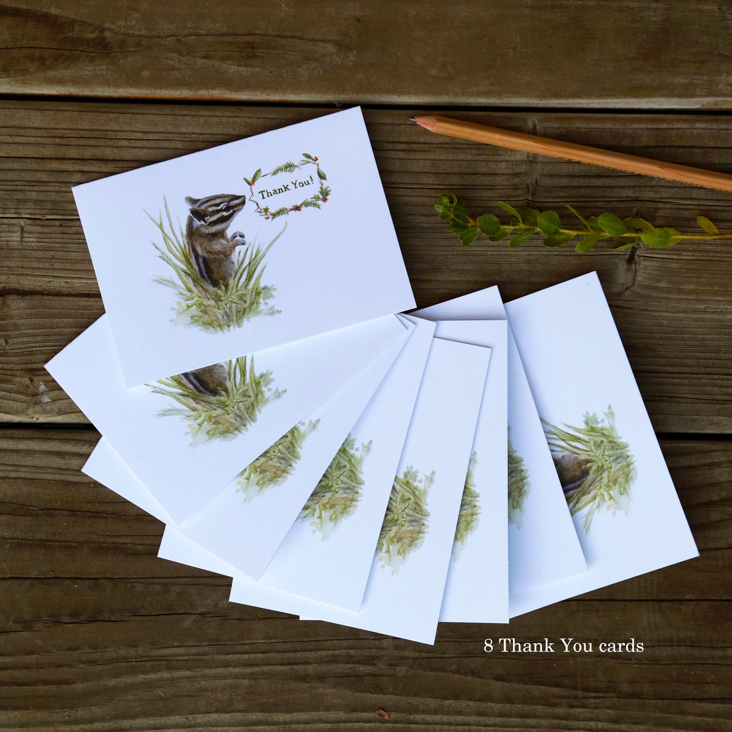 Set of 8 Chipmunk Thank You Cards