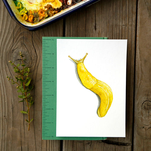 Load image 1 in gallery view. Banana Slug 5x7 Print - Native California Wildlife, Redwood forest print