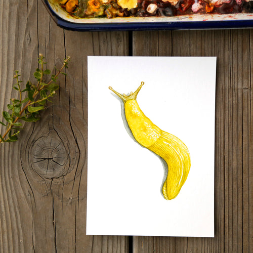 Load image 1 in gallery view. Banana Slug 5x7 Print - Native California Wildlife, Redwood forest print