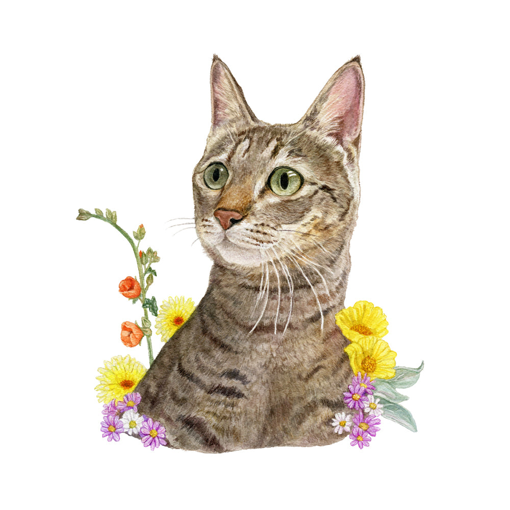 CA Native Plants + Pet Portrait Commission
