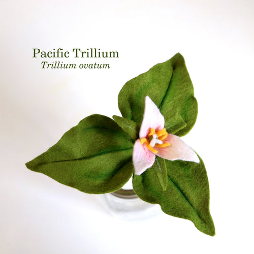 Load image 1 in gallery view. Pacific trillium - Trillium ovatum - fiber sculpture, felt flower