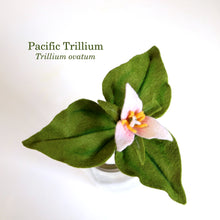 Pacific trillium - Trillium ovatum - fiber sculpture, felt flower
