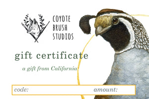 Coyote Brush Studios Digital Gift Certificate