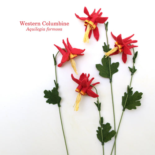 Load image 1 in gallery view. Western Columbine - Aquilegia formosa - fiber sculpture, felt flower