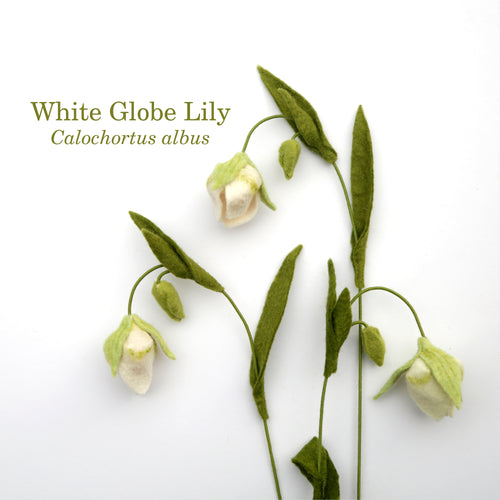 White Globe Lily - Calochortus albus - fiber sculpture, fabric flower