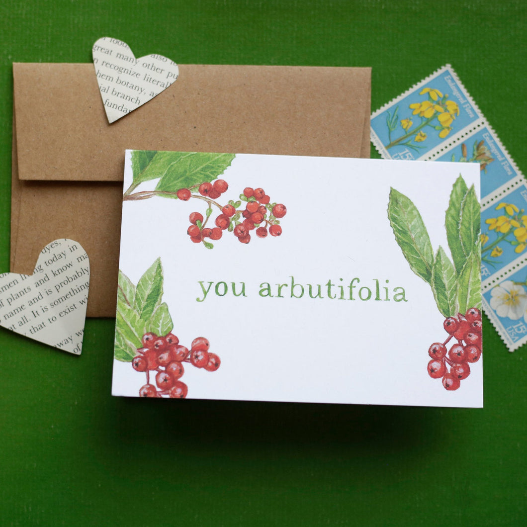 You Arbutifolia -Toyon, Heteromeles arbutifolia, California Native Plant Greeting Card