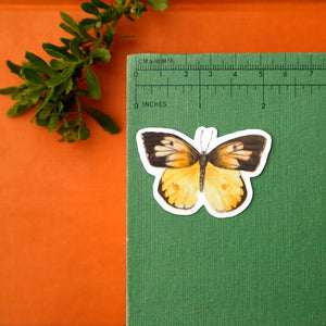 Butterflies of California Sticker Set: Three Vinyl Stickers, Monarch, California Dogface, Xerces Blue