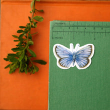Butterflies of California Sticker Set: Three Vinyl Stickers, Monarch, California Dogface, Xerces Blue