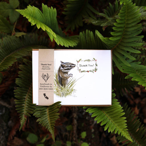 Load image 1 in gallery view. Set of 8 Chipmunk Thank You Cards