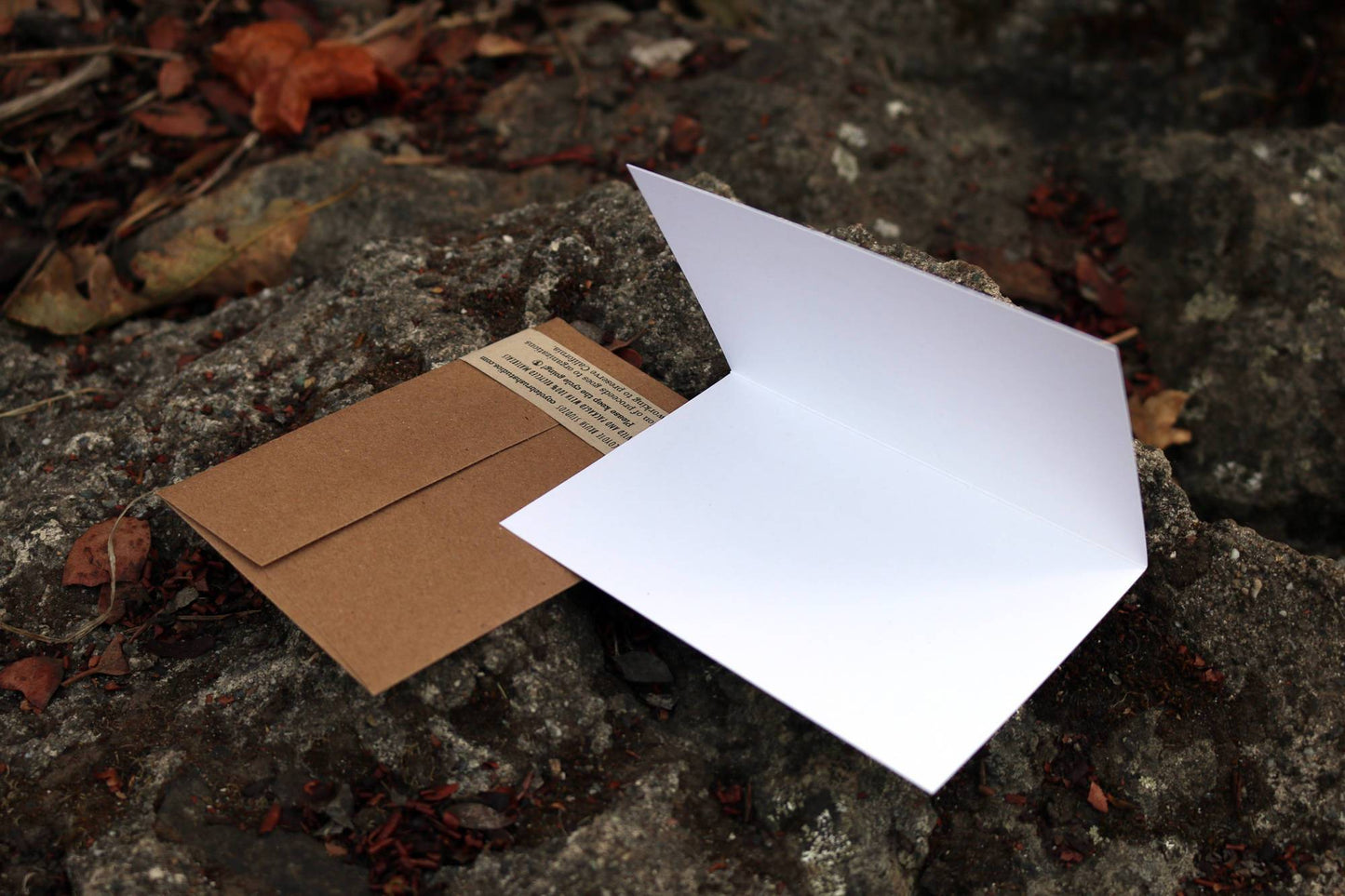 Set of 8 Chipmunk Thank You Cards