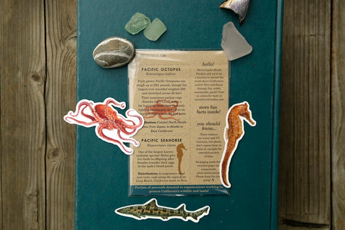 Load image 1 in gallery view. California Coast Vinyl Stickers: Giant Pacific Octopus, Pacific Seahorse, Leopard Shark