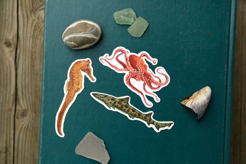 California Coast Vinyl Stickers: Giant Pacific Octopus, Pacific Seahorse, Leopard Shark