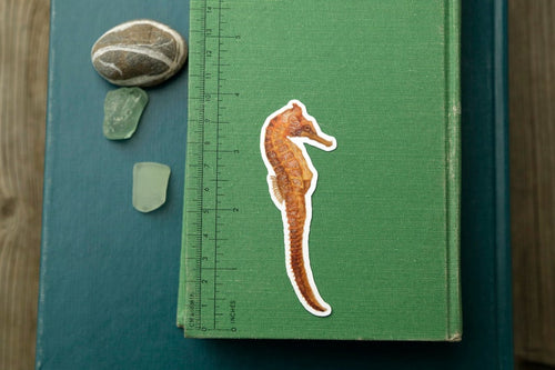 Load image 1 in gallery view. California Coast Vinyl Stickers: Giant Pacific Octopus, Pacific Seahorse, Leopard Shark
