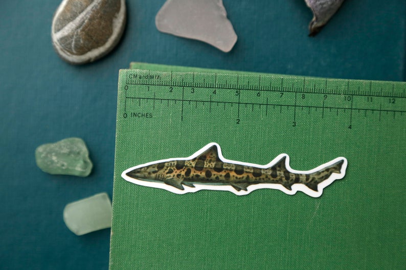 California Coast Vinyl Stickers: Giant Pacific Octopus, Pacific Seahorse, Leopard Shark