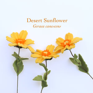Desert Sunflower Felt Flower - Geraea canescens - fiber sculpture, fabric flower