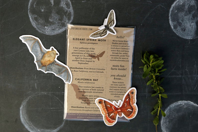 Echolocation Vinyl Stickers: California Bat, Elegant Sphinx Moth, Ceanothus Moth