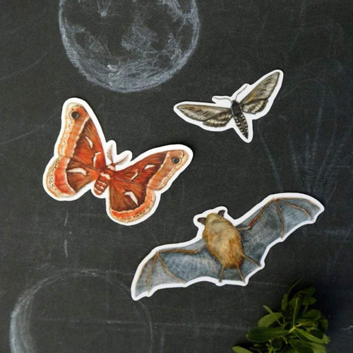 Load image 1 in gallery view. Echolocation Vinyl Stickers: California Bat, Elegant Sphinx Moth, Ceanothus Moth