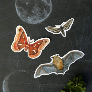 Echolocation Sticker Set: Three Vinyl Stickers, California Bat, Elegant Sphinx Moth, Ceanothus Moth