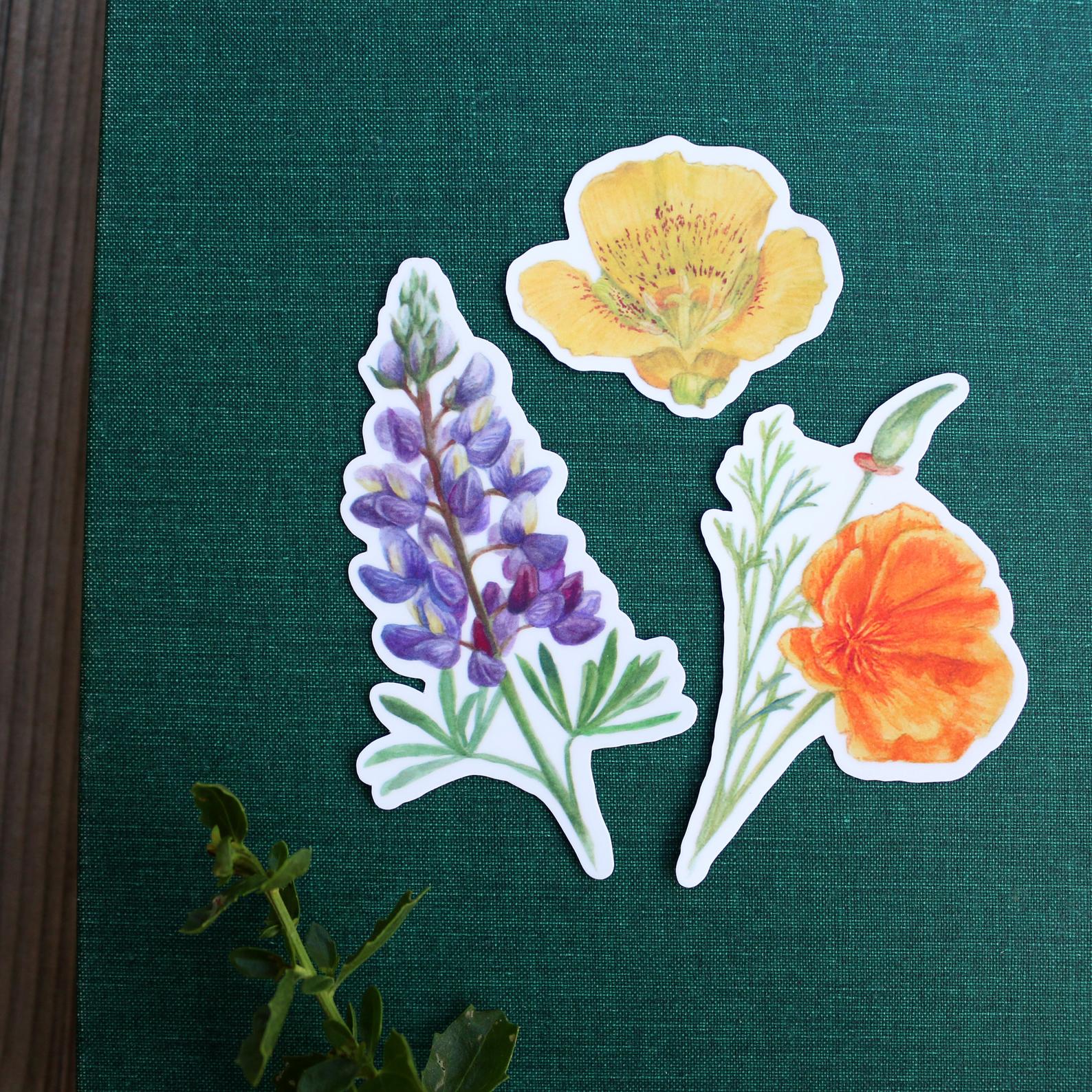 Wildflowers of California Vinyl Stickers: CA Poppy, Lupine, Mariposa Lily