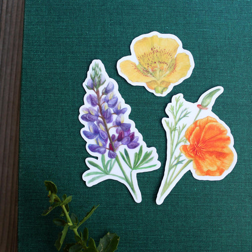 Load image 1 in gallery view. Wildflowers of California Vinyl Stickers: CA Poppy, Lupine, Mariposa Lily
