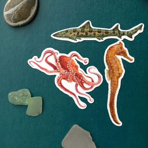 Load image 1 in gallery view. California Coast Vinyl Stickers: Giant Pacific Octopus, Pacific Seahorse, Leopard Shark