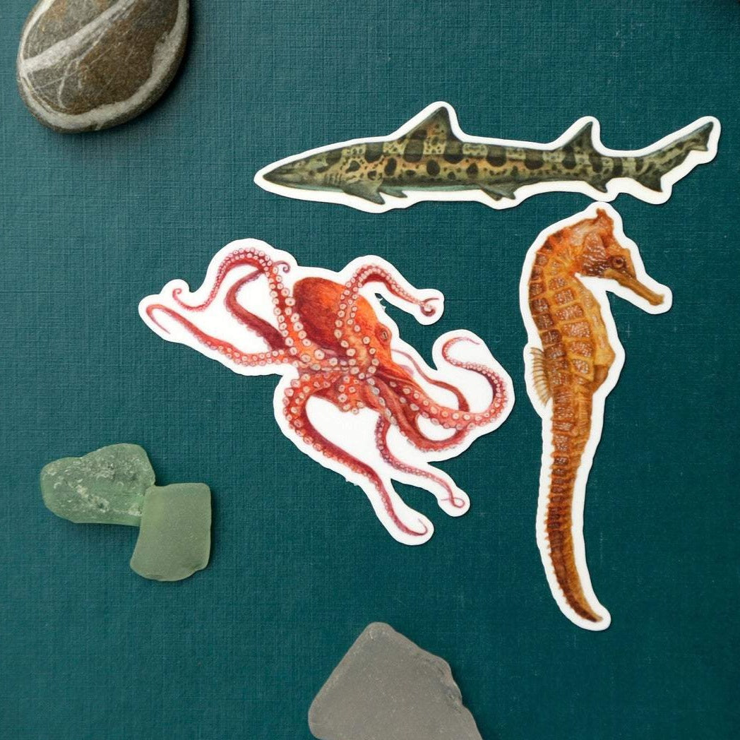 California Coast Stickers: Three Vinyl Stickers, Giant Pacific Octopus, Pacific Seahorse, Leopard Shark