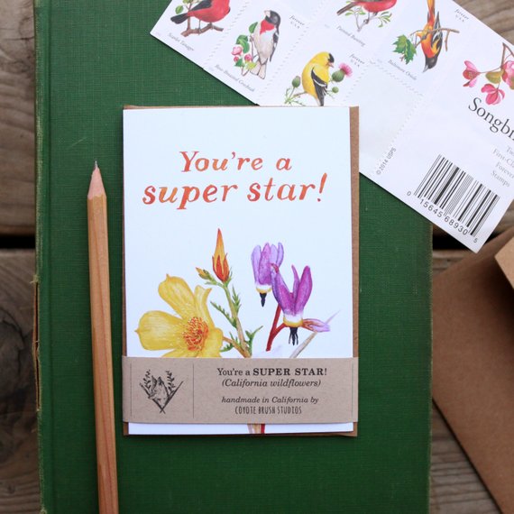 Native California wildflowers blazing star star tulip shooting star watercolor greeting card