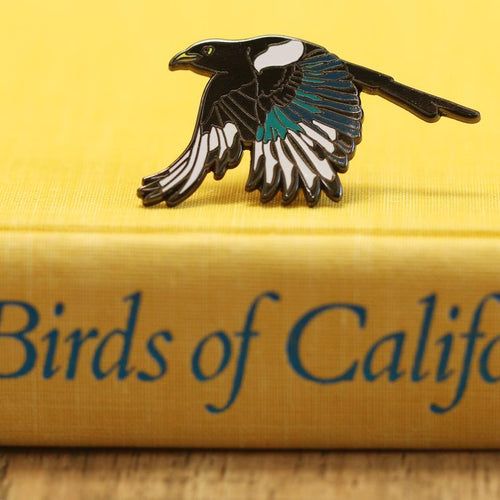 Load image 1 in gallery view. Yellow Billed Magpie Enamel Pin: California Native Bird Pin