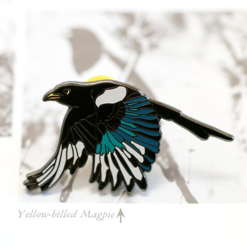 Load image 1 in gallery view. Yellow Billed Magpie Enamel Pin: California Native Bird Pin