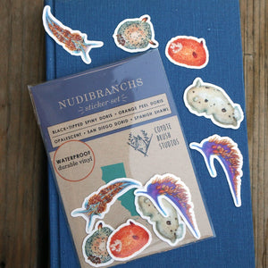 Nudibranch Stickers: Five Vinyl Stickers, Opalescent Nudibranch, Spanish Shawl, Spiny Doris, San Diego Dorid