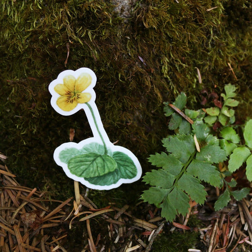 Load image 1 in gallery view. Redwood Understory Stickers Vinyl Stickers: Fairy Slipper, Pacific Trillium, Redwood Violet, Fetid Adder's Tongue