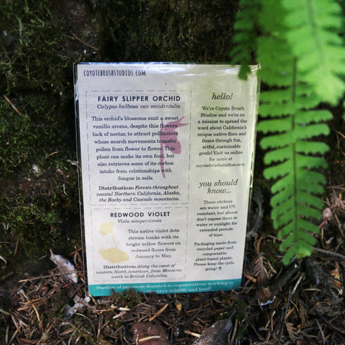 Load image 1 in gallery view. Redwood Understory Stickers Vinyl Stickers: Fairy Slipper, Pacific Trillium, Redwood Violet, Fetid Adder's Tongue